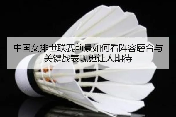 中国女排世联赛前景如何看阵容磨合与关键战表现更让人期待